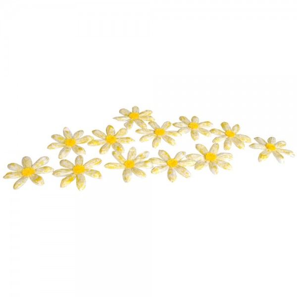 Blüten Paperflorale gelb-weiß, 12 Stück, Ø 12 cm