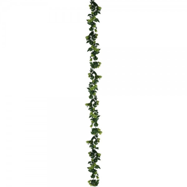 Hopfengirlande Premium grün, 165 cm